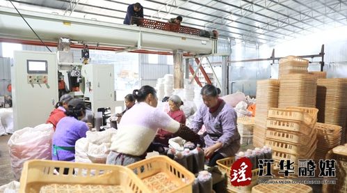 江華 人勤春來早 菌包生產(chǎn)忙