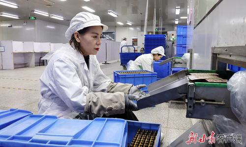 西峰區(qū) 企業(yè)趕訂單忙生產(chǎn)