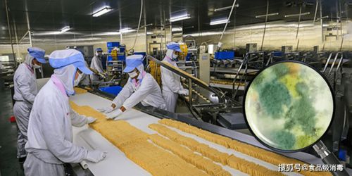 食品生產(chǎn)車間如何有效解決霉菌孢子 潔凈車間細(xì)菌真菌